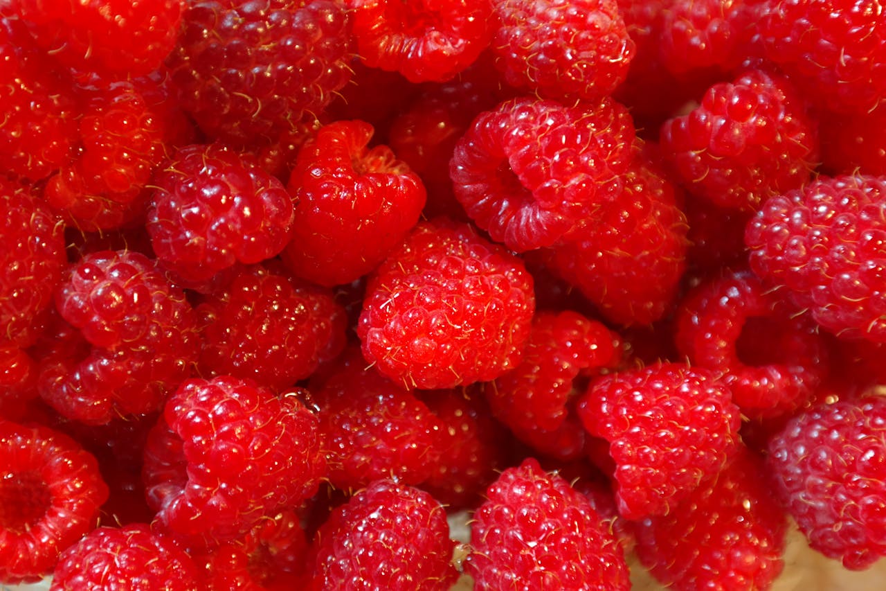 A close-up shot of vibrant red raspberries, fresh and ready to eat.